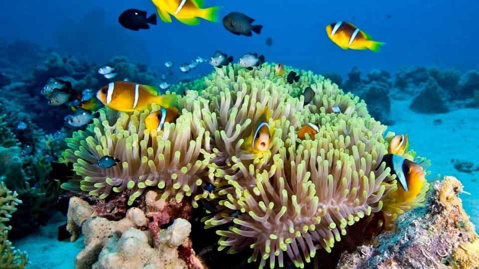 FOTO: Thinkstock
